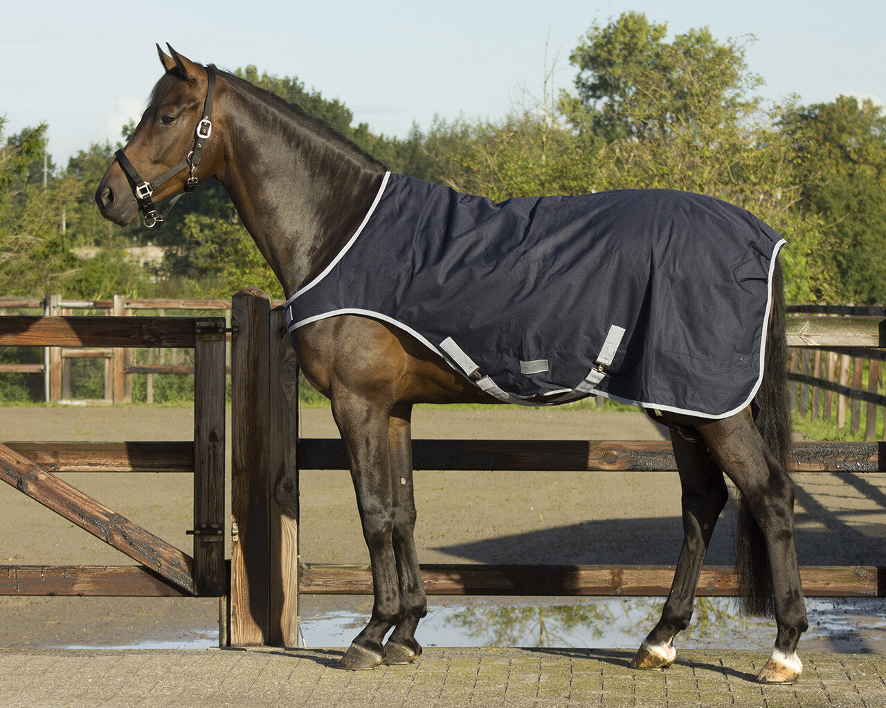 Sous-couverture Horseware XL 100 grs | Couvertures pour chevaux Sous-couverture Horseware XL 100 grs | Couvertures pour chevaux