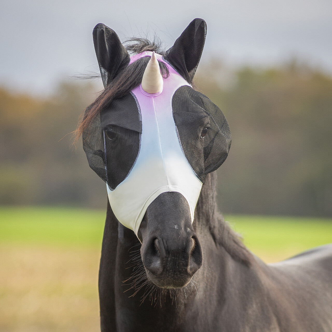 Bonnet anti-mouche Unicorne - QHP