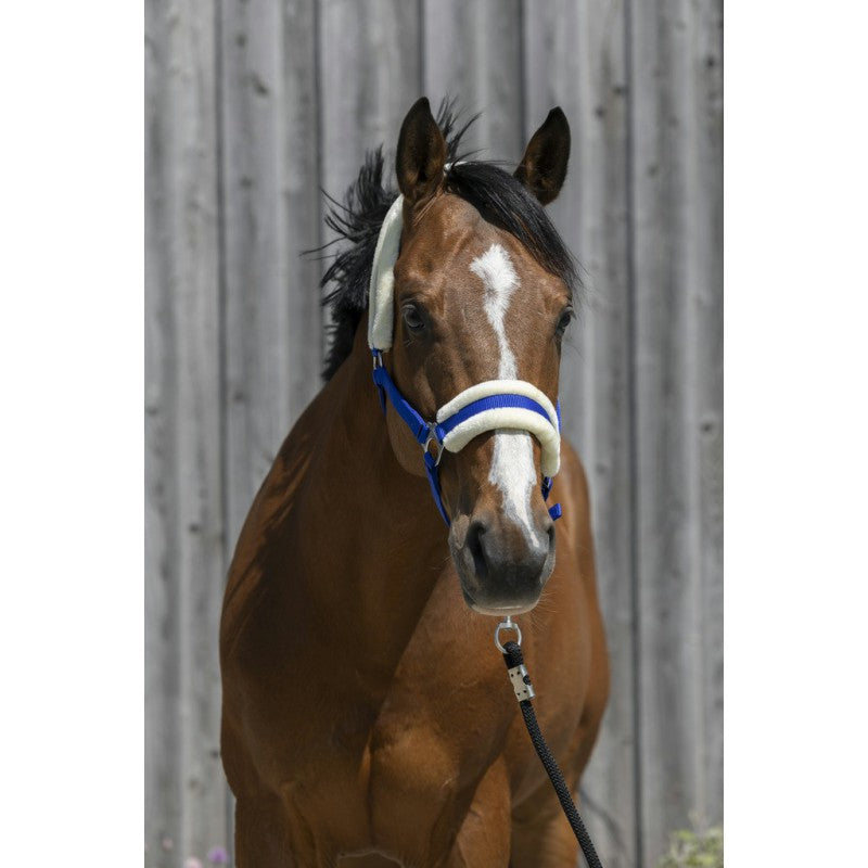 Licol mouton synthétique - RIDING WORLD
