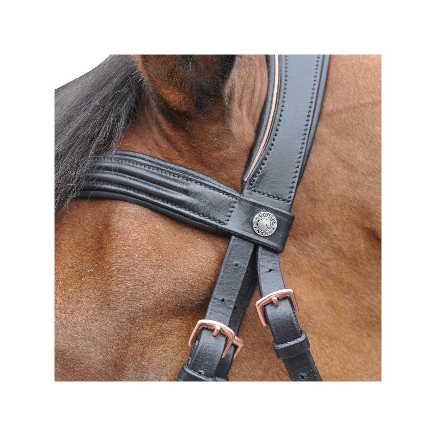 Bridon CANTER Rose Gold