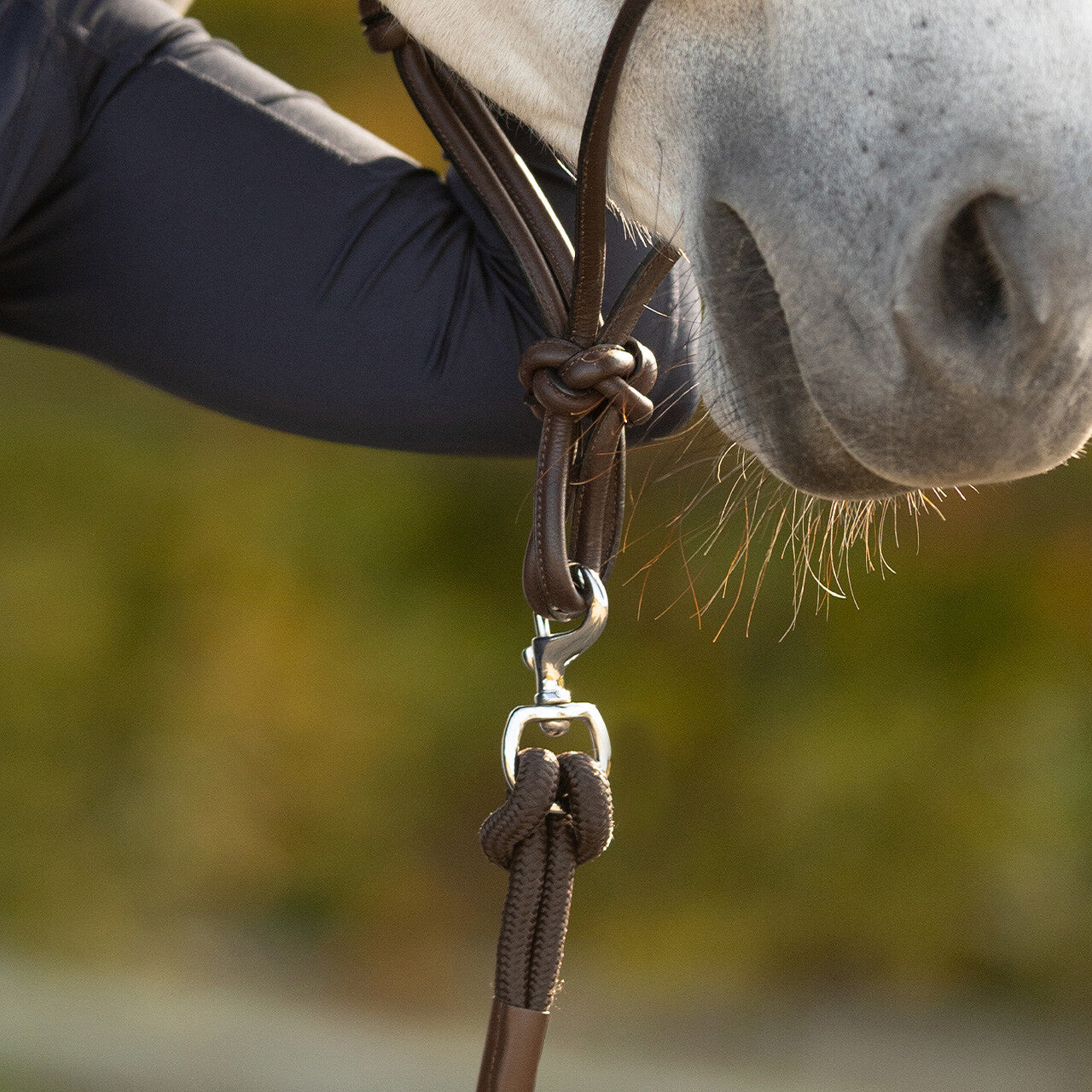 Longe Lyberta 3m - QHP