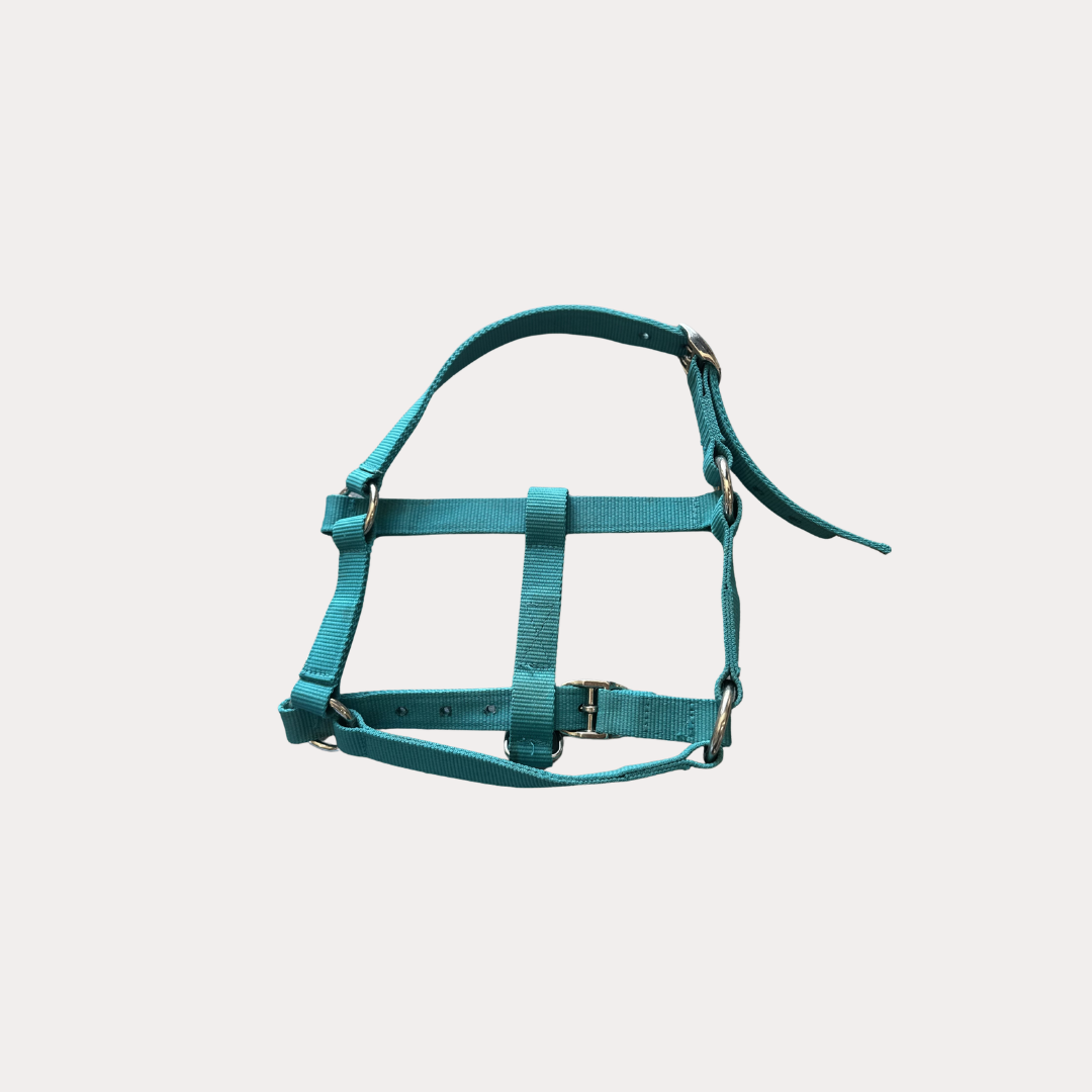 Licol fouganza poney