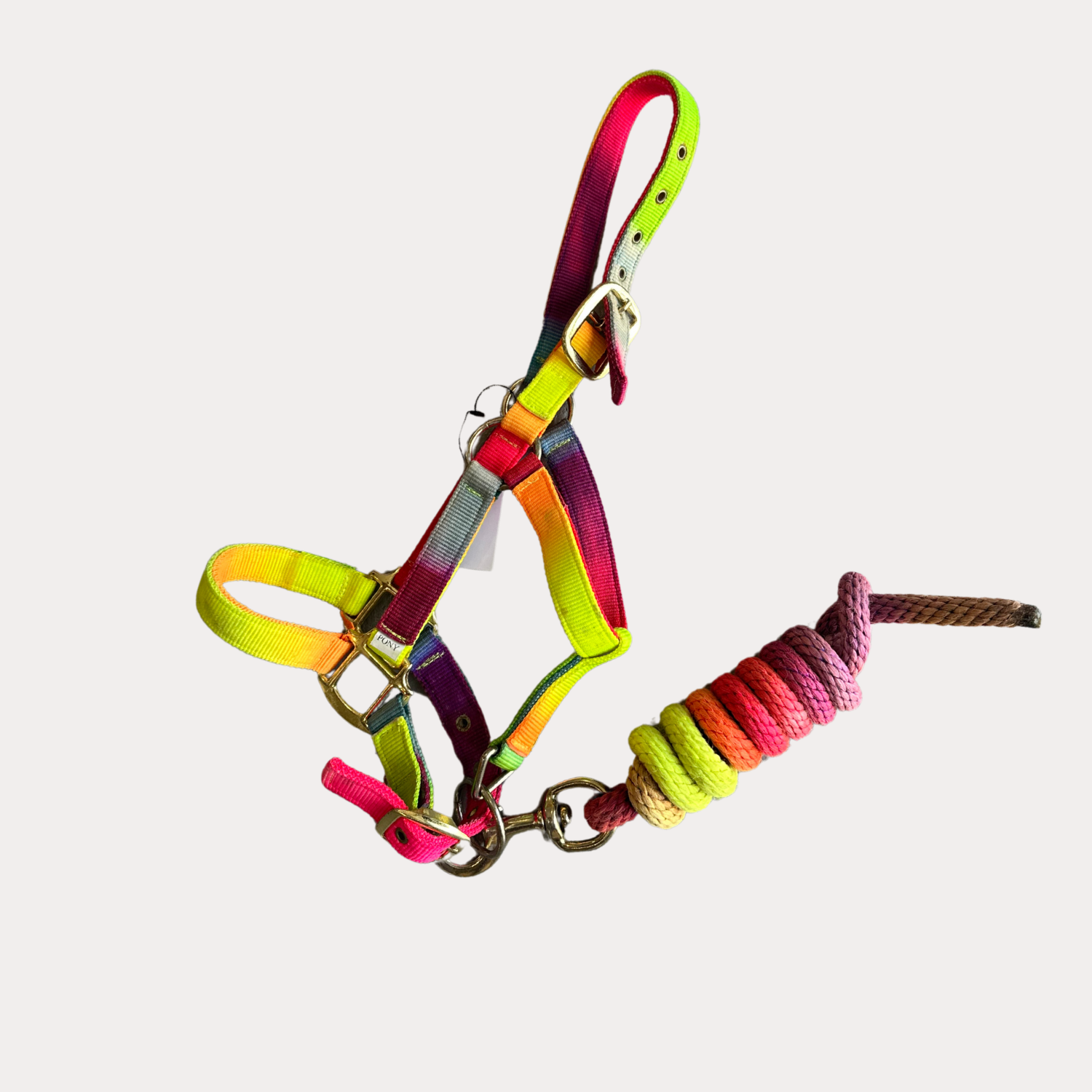 Licol Pony Multicolor avec longe