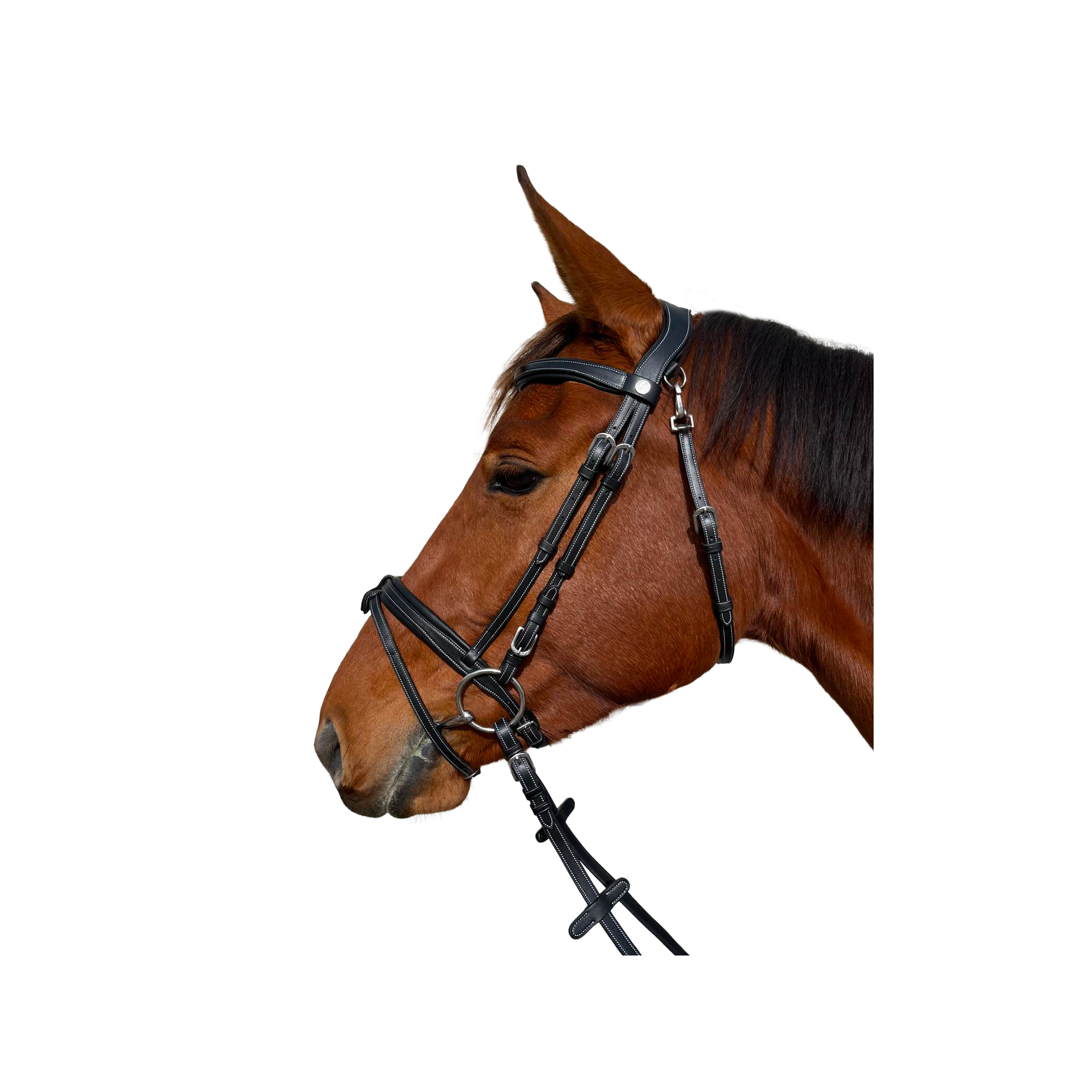 Bridon Praha - Flags&Cup