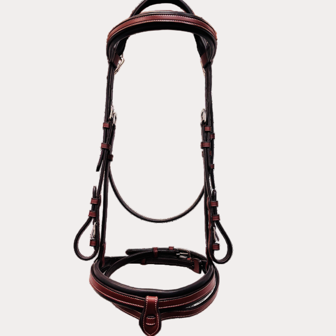 Bridon Praha - Flags&Cup