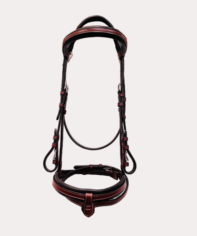 Bridon Praha - Flags&Cup