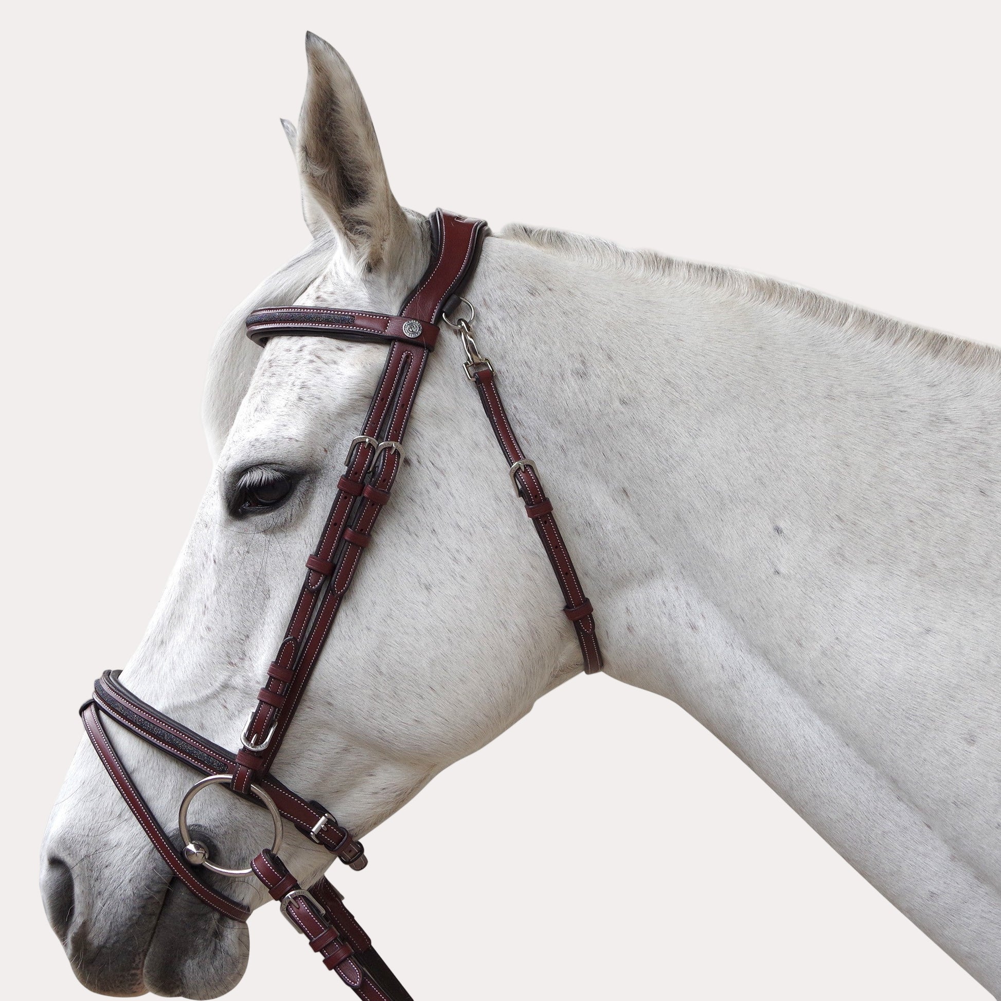 Bridon Aachen -  F&C