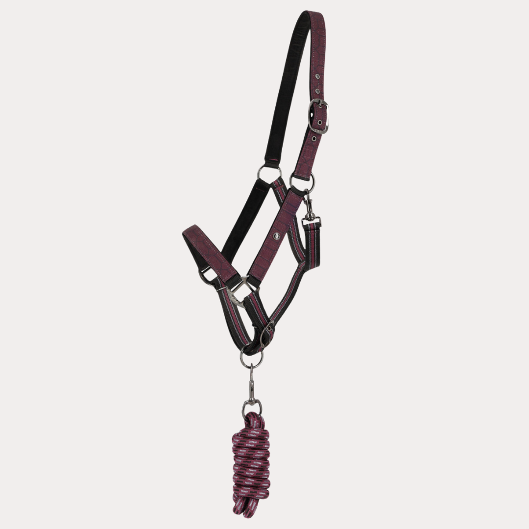 Duo licol et longe avec turnout collection - QHP