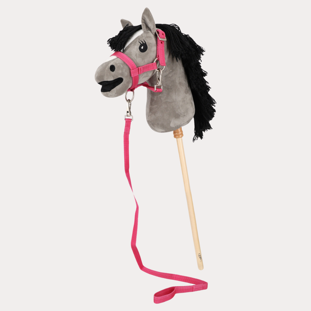 Duo Licol et longe Hobby horse - QHP