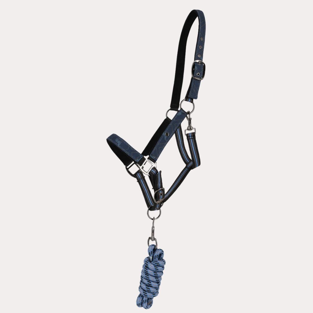 Duo licol et longe avec turnout collection - QHP