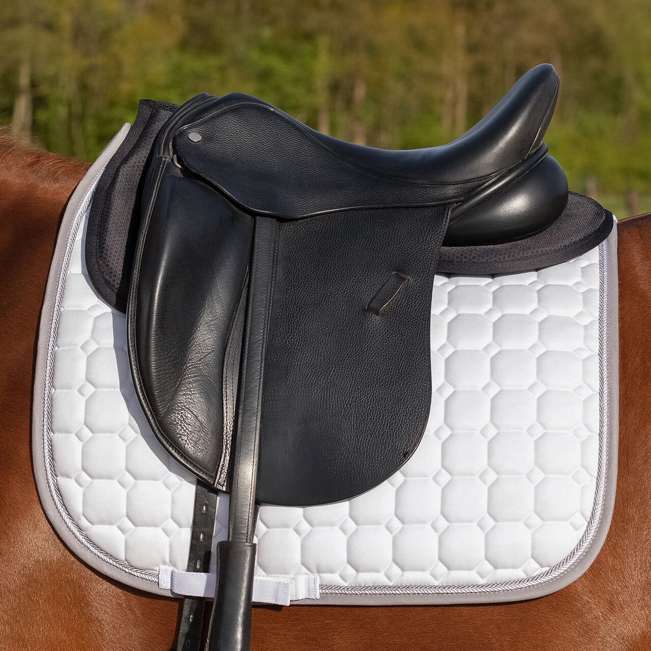 Amortisseur Air Mesh - QHP