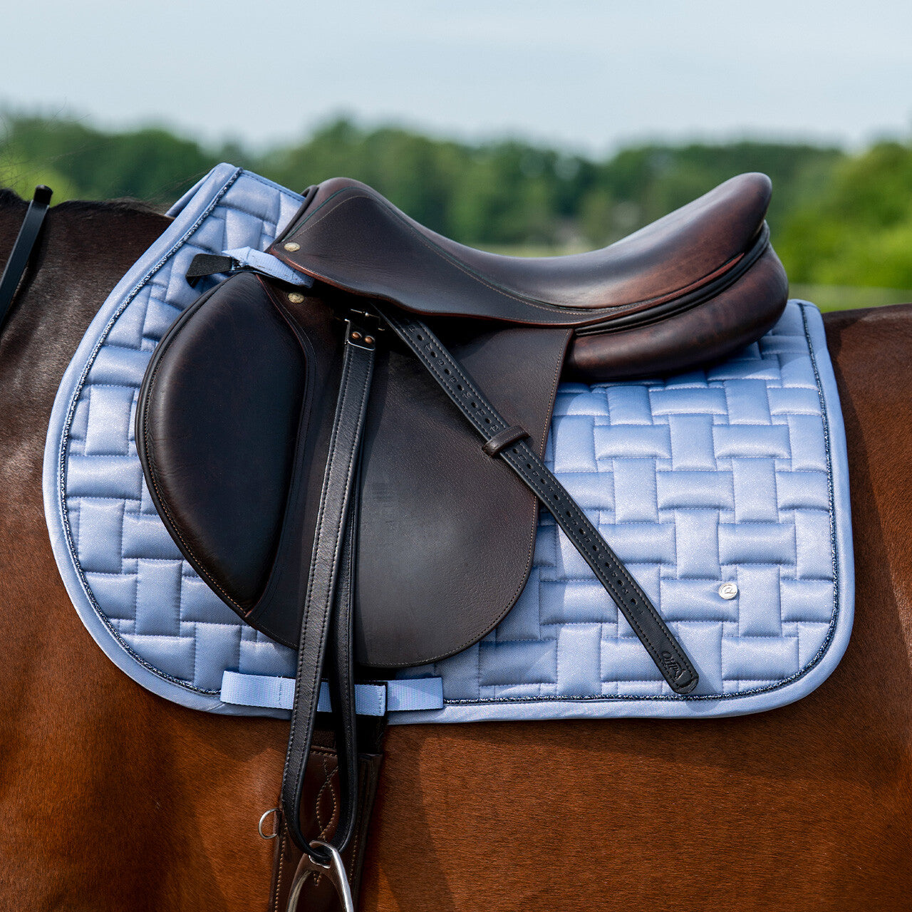 Tapis de selle Aubree cso - QHP