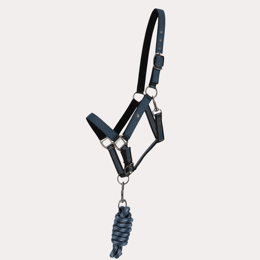 Duo licol et longe avec turnout collection - QHP