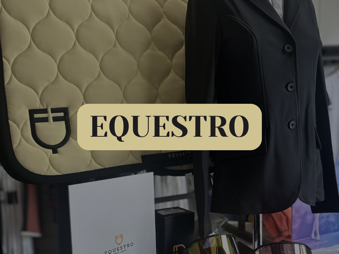 Nouveauté Equestro