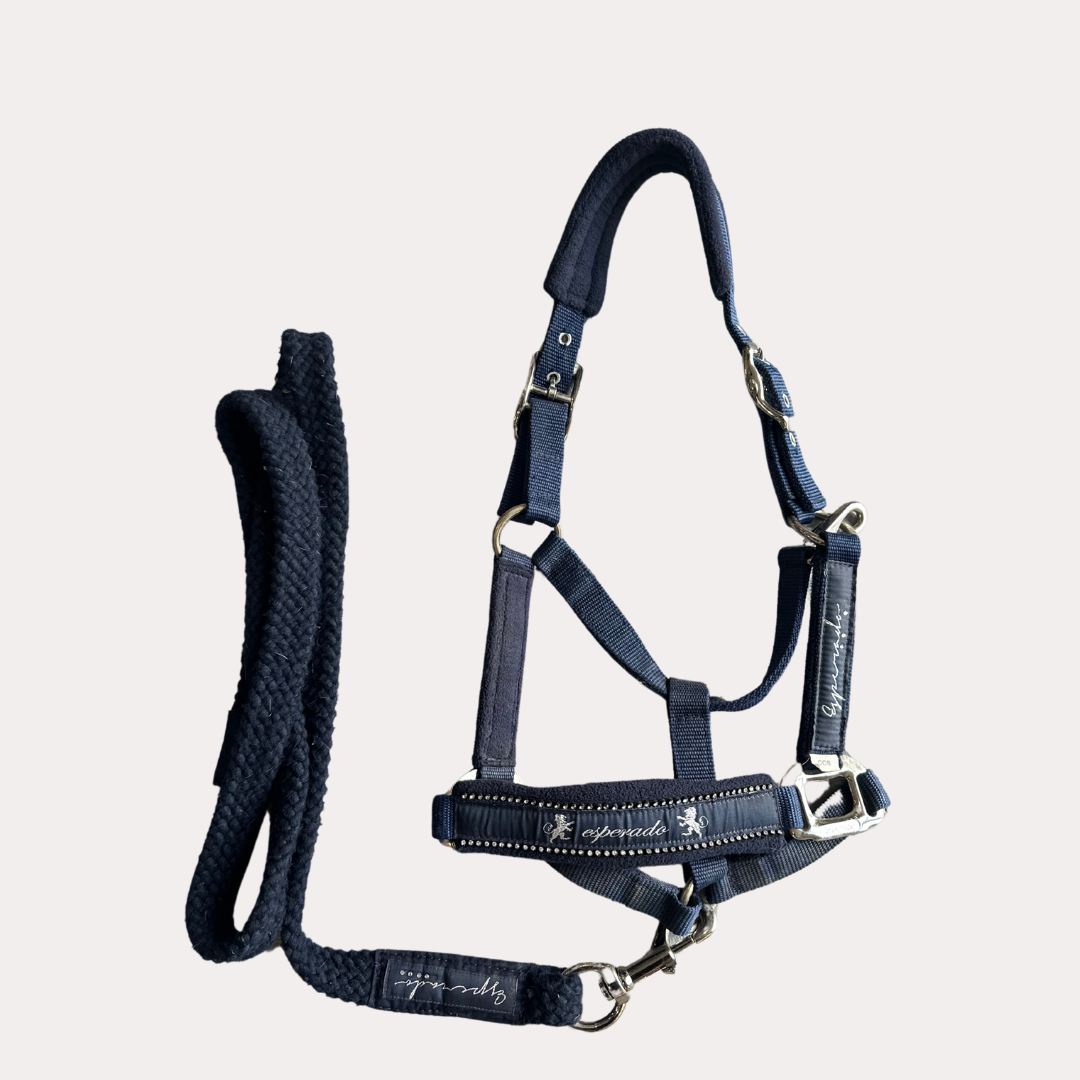 Licol Strass COB
