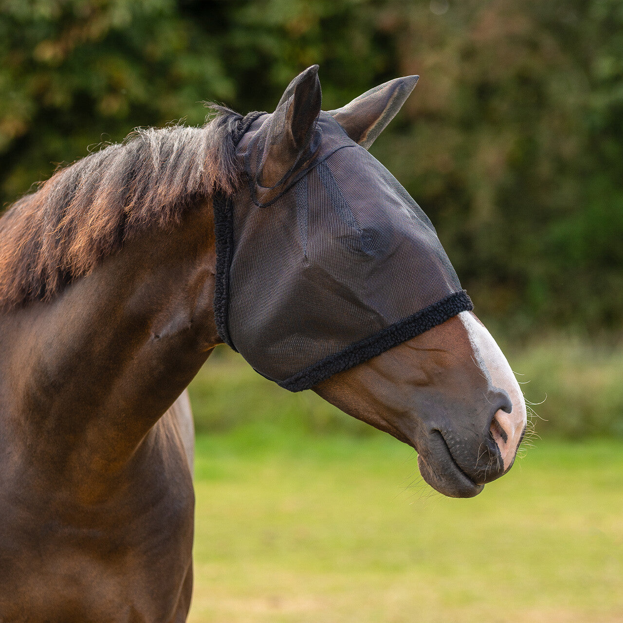 Masque anti-mouches Basic - QHP