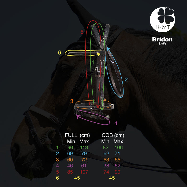 Bridon Évolution Contact DISCO - IHWT