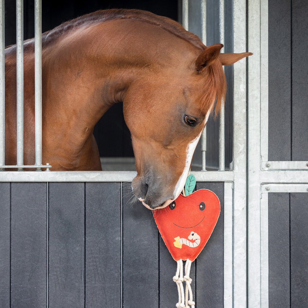 Jouets pour chevaux Pomme