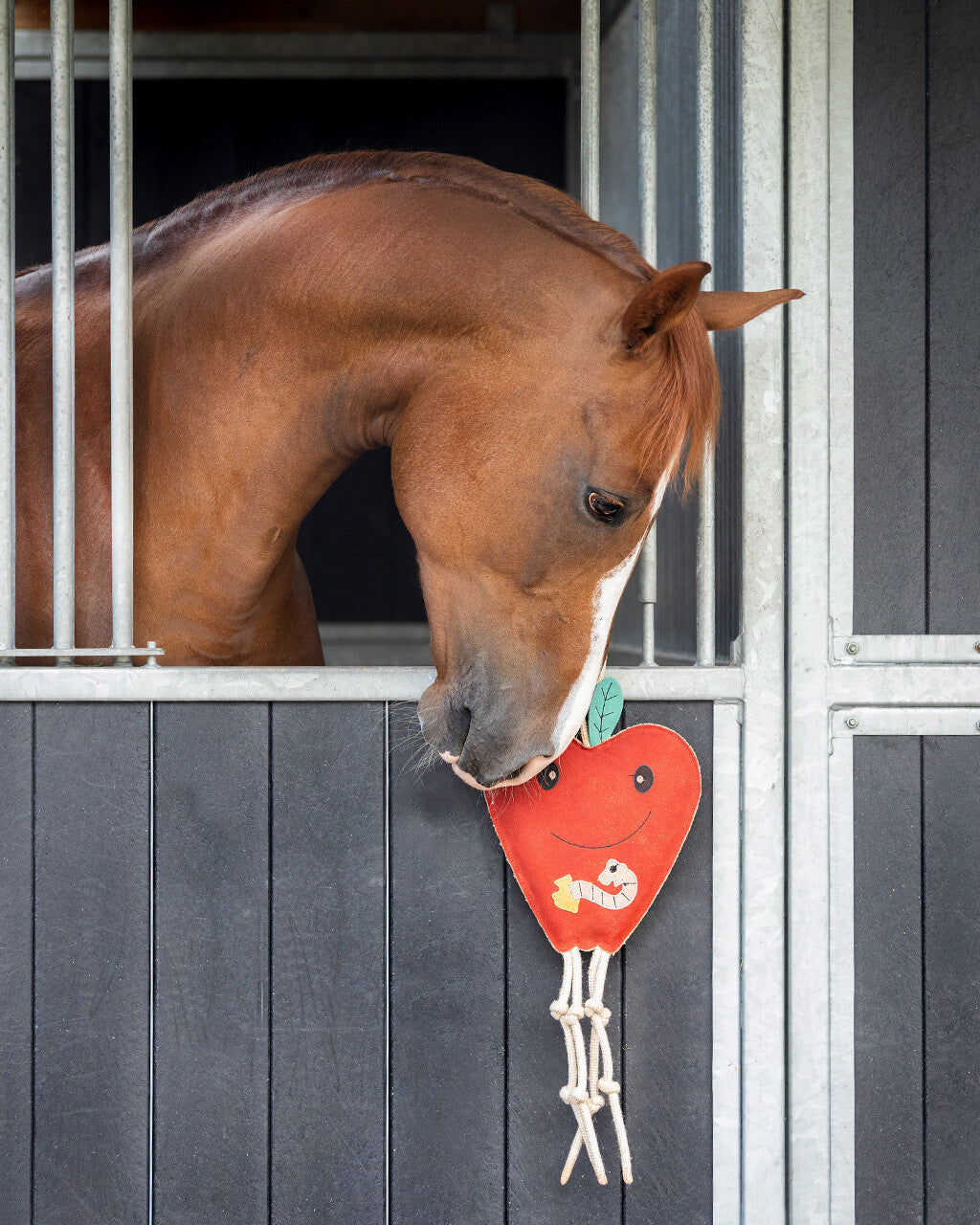 Jouets pour chevaux Pomme