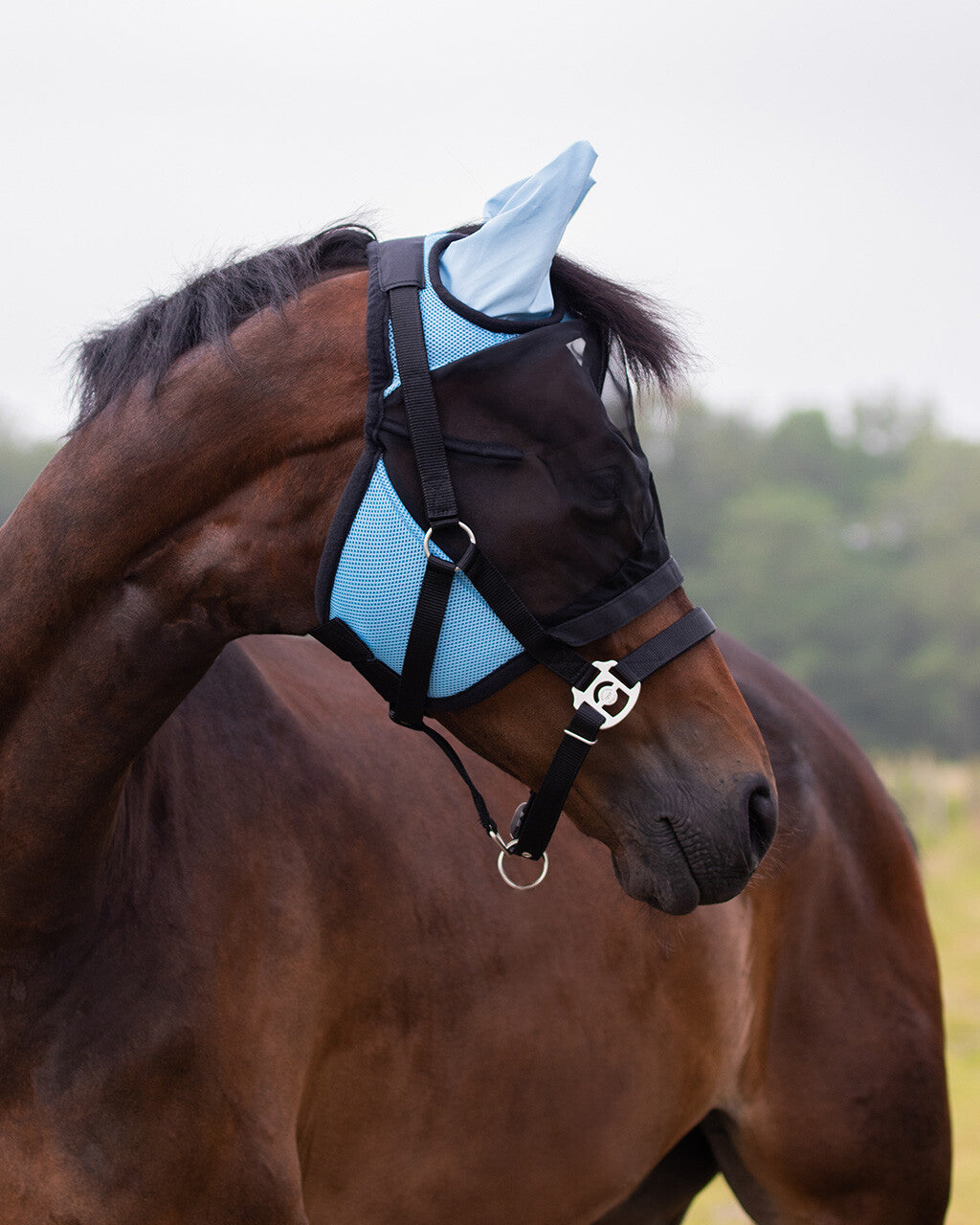 Bonnet anti mouche avec clapet de nez détachable Bleu - QHP