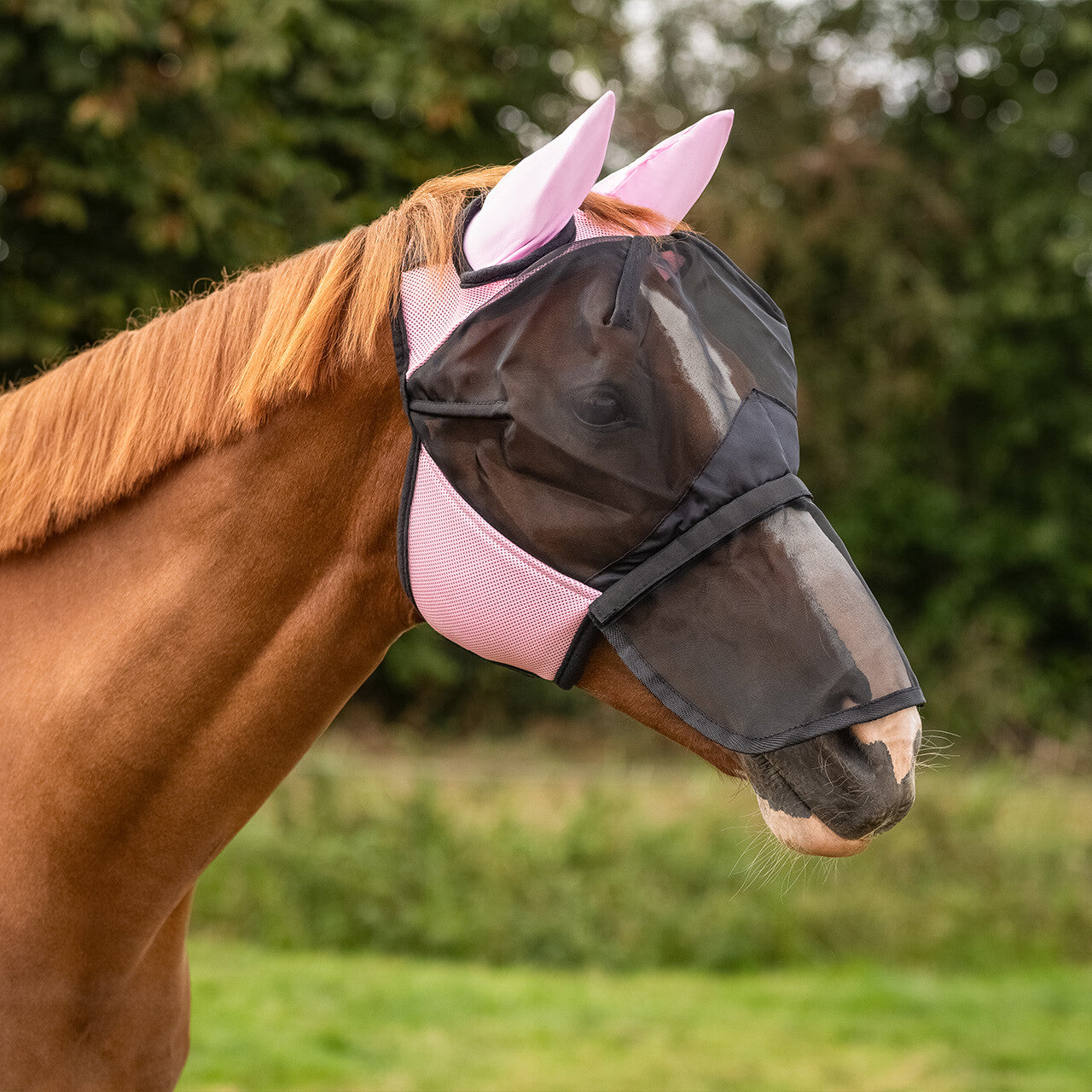 Bonnet anti-mouches avec clapet de nez détachable - QHP