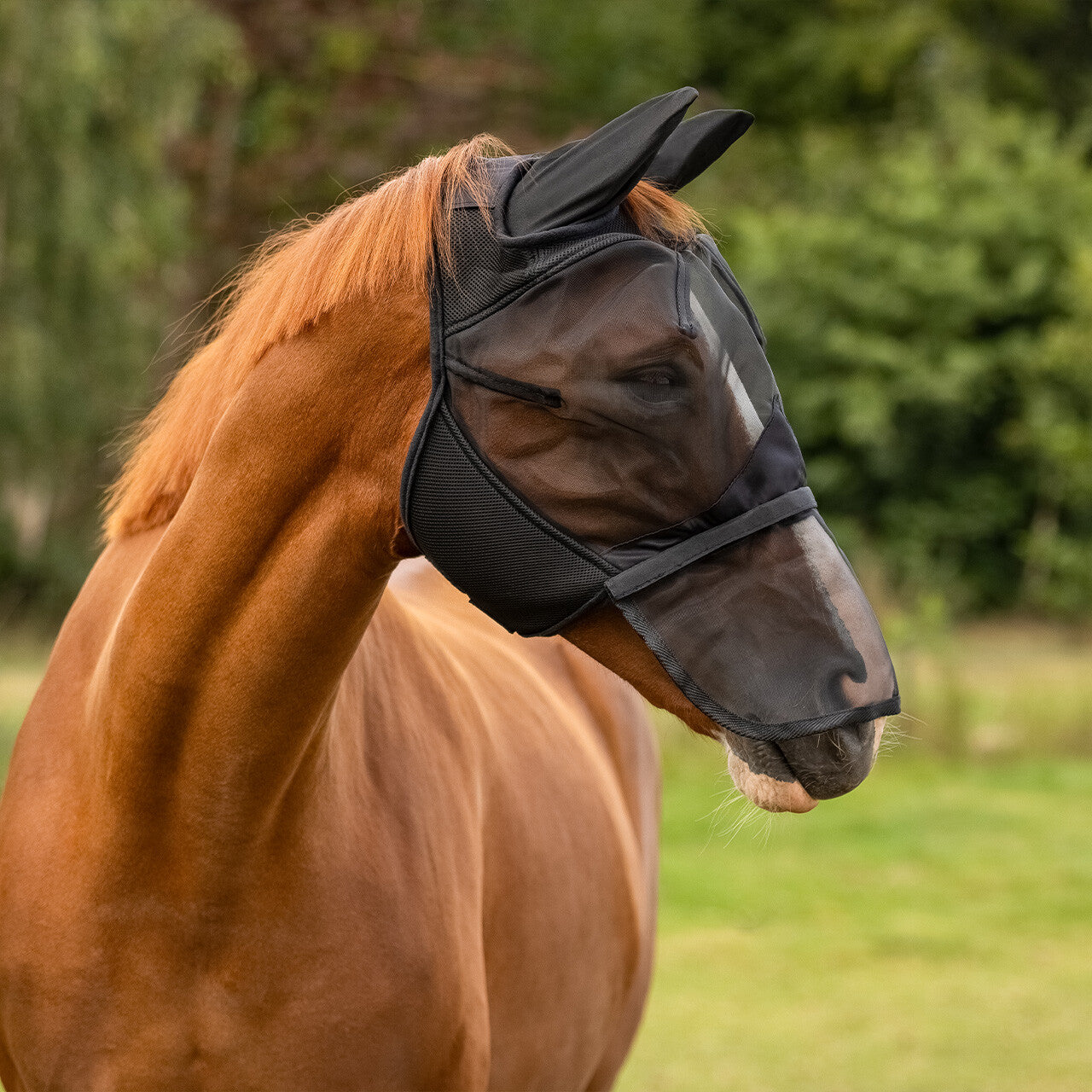 Bonnet anti-mouches avec clapet de nez détachable - QHP