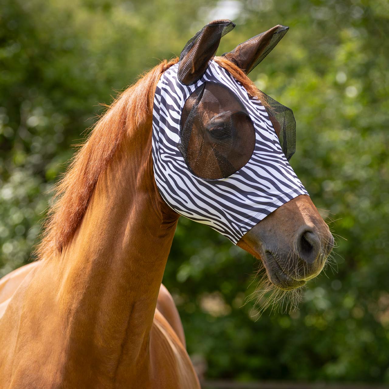 Masque super-bug ZEBRA - QHP