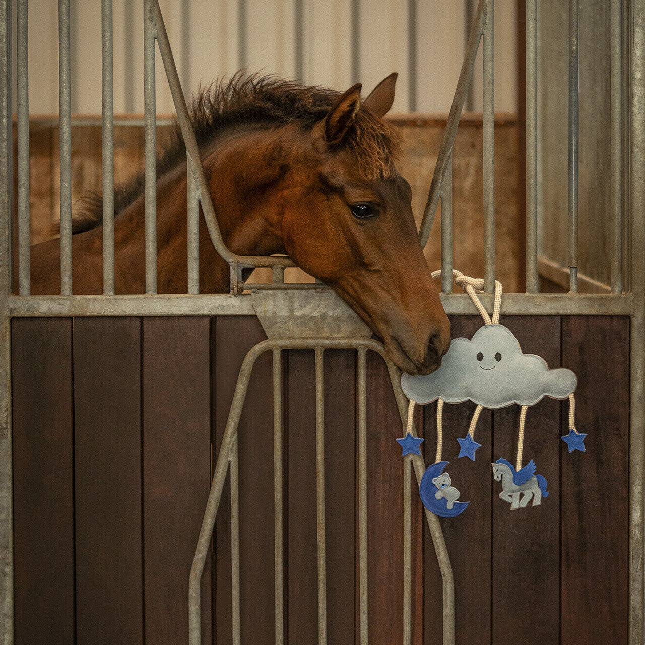 Jouets pour chevaux Novy - QHP
