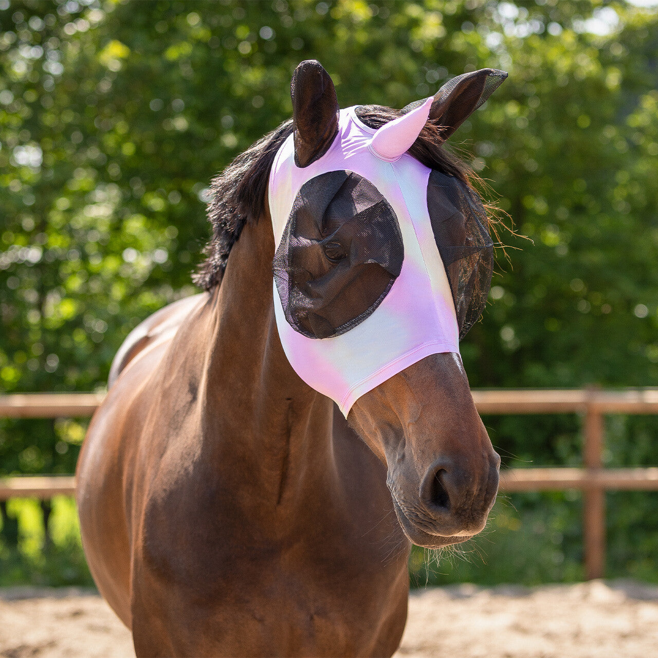 Bonnet anti-mouche Unicorne - QHP