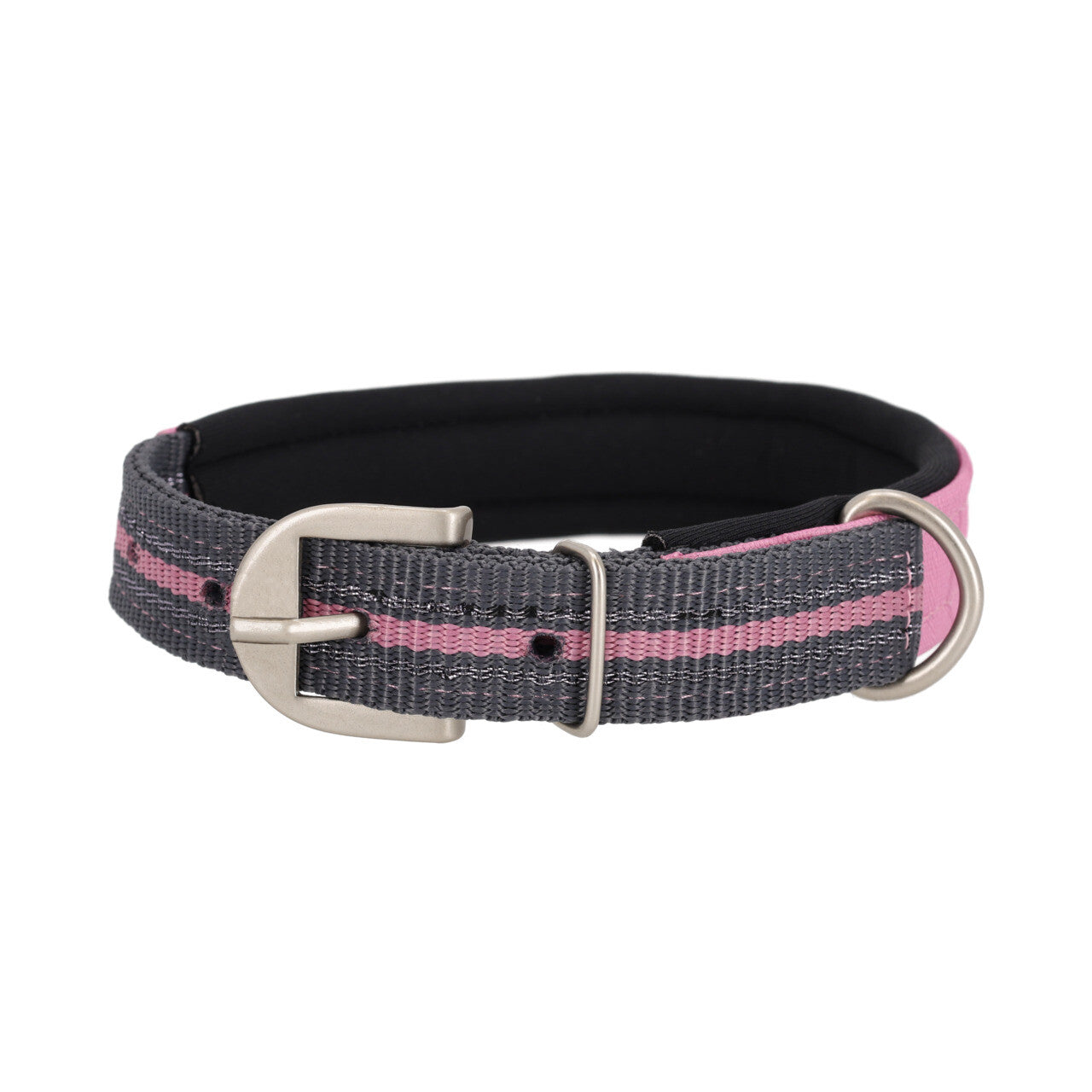 Collier de chien collection - QHP