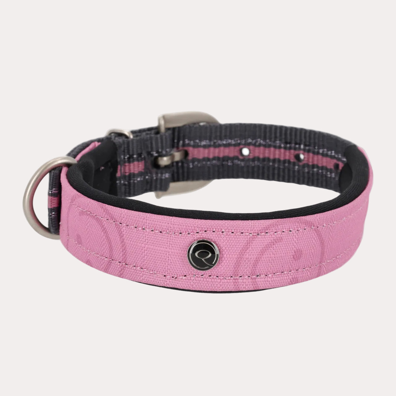 Collier de chien collection - QHP