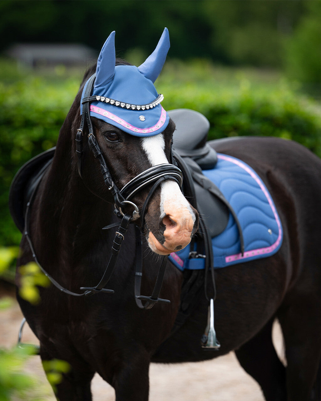 Bonnet Rosalynn - QHP