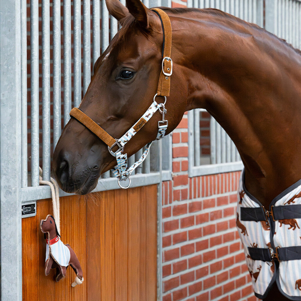 Jouets pour chevaux Stable buddy - QHP