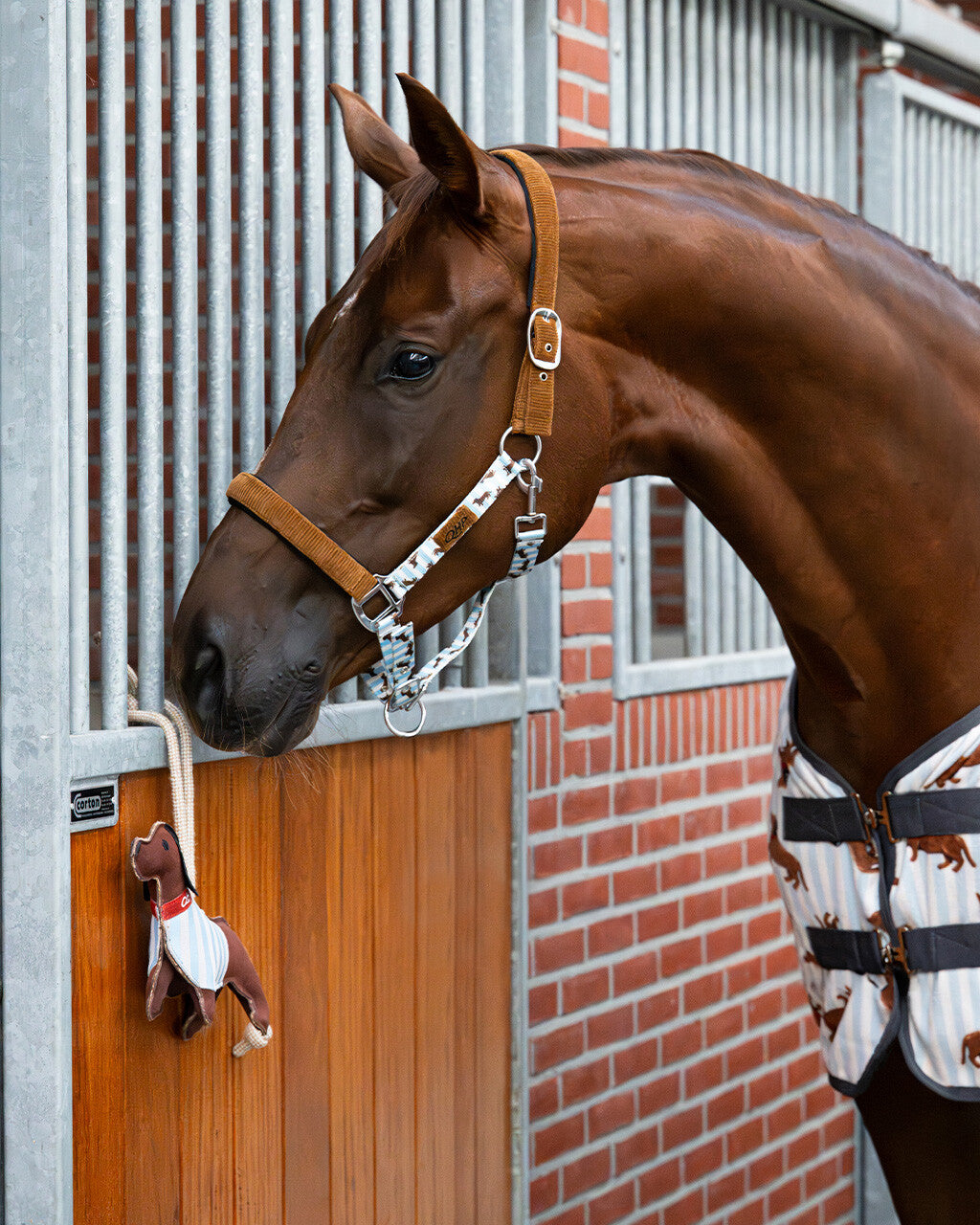 Jouets pour chevaux Stable buddy - QHP