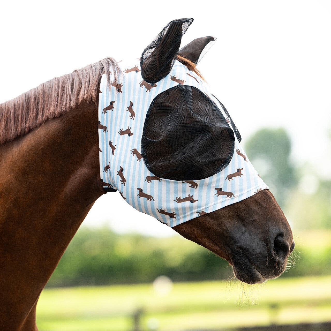 Masque anti-mouches Stable buddy - QHP