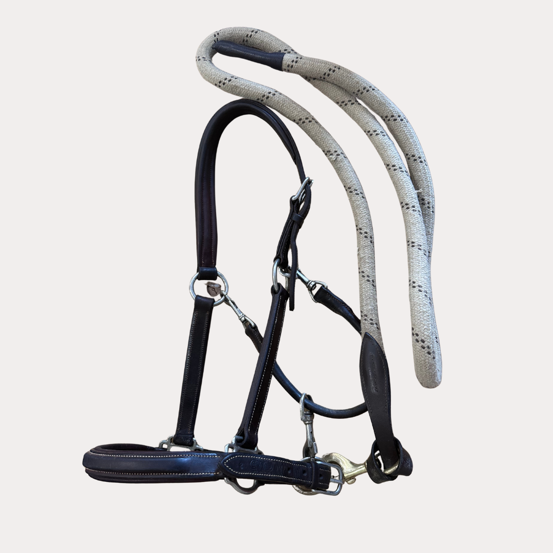 Licol cuir CWD taille 2