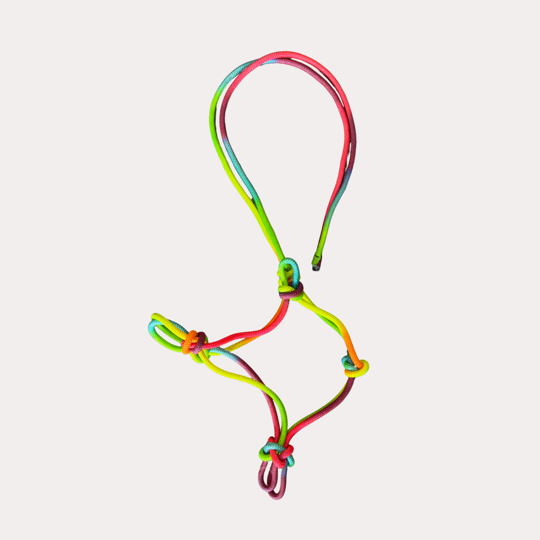 Licol ethologique multicolore