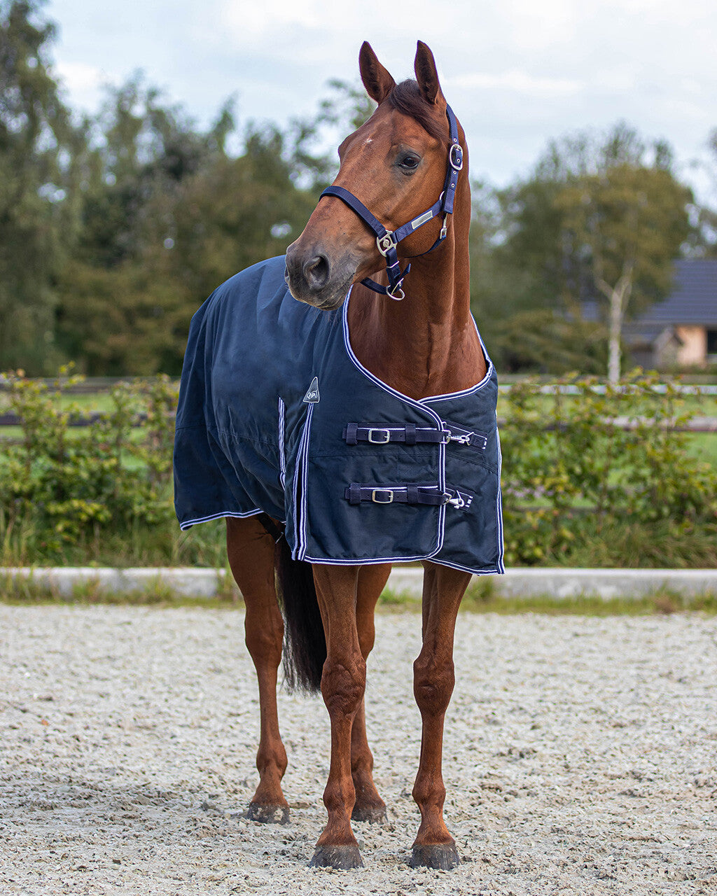 Couverture imperméable turnout luxe 0gr - QHP