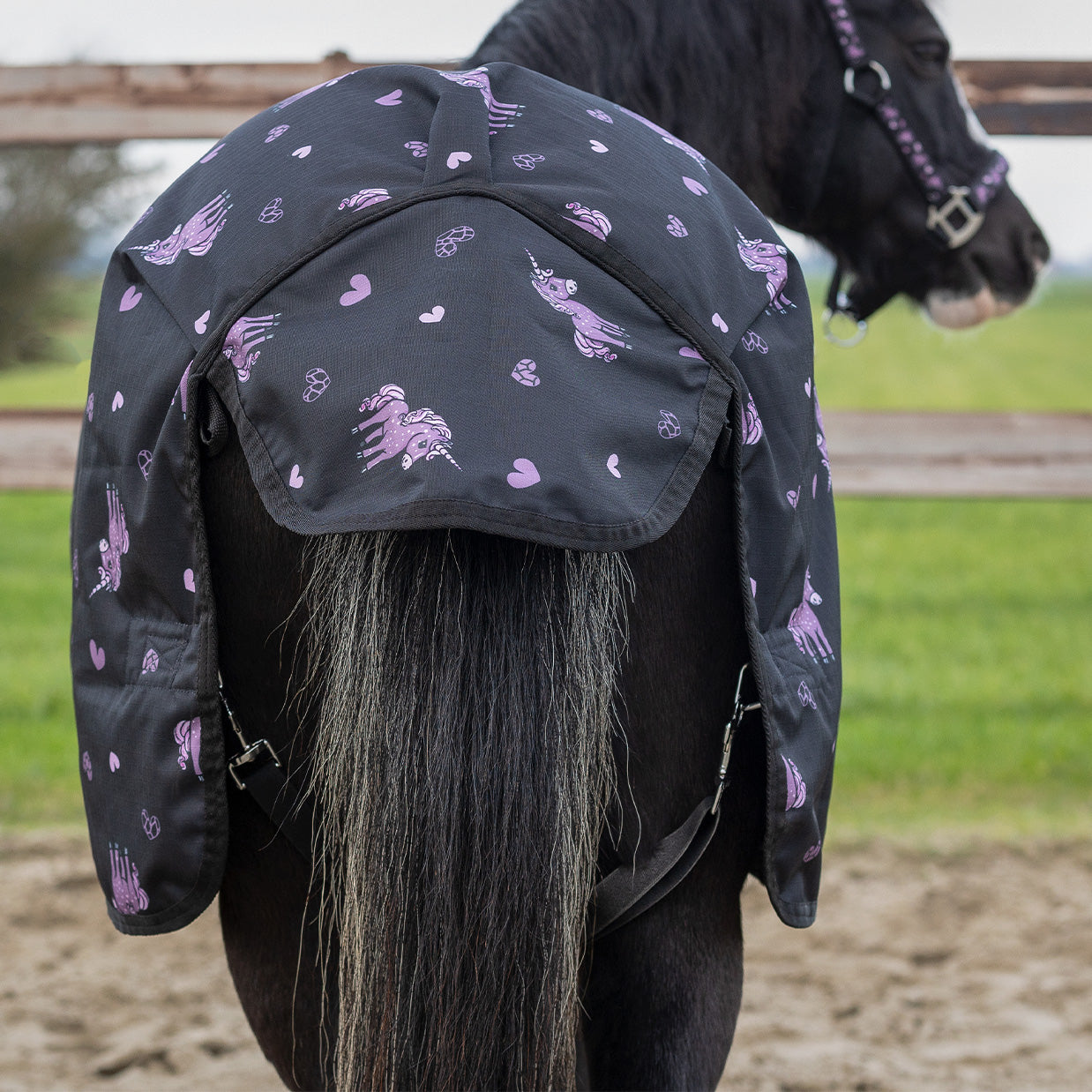 Couverture turnout Lize 100gr - QHP