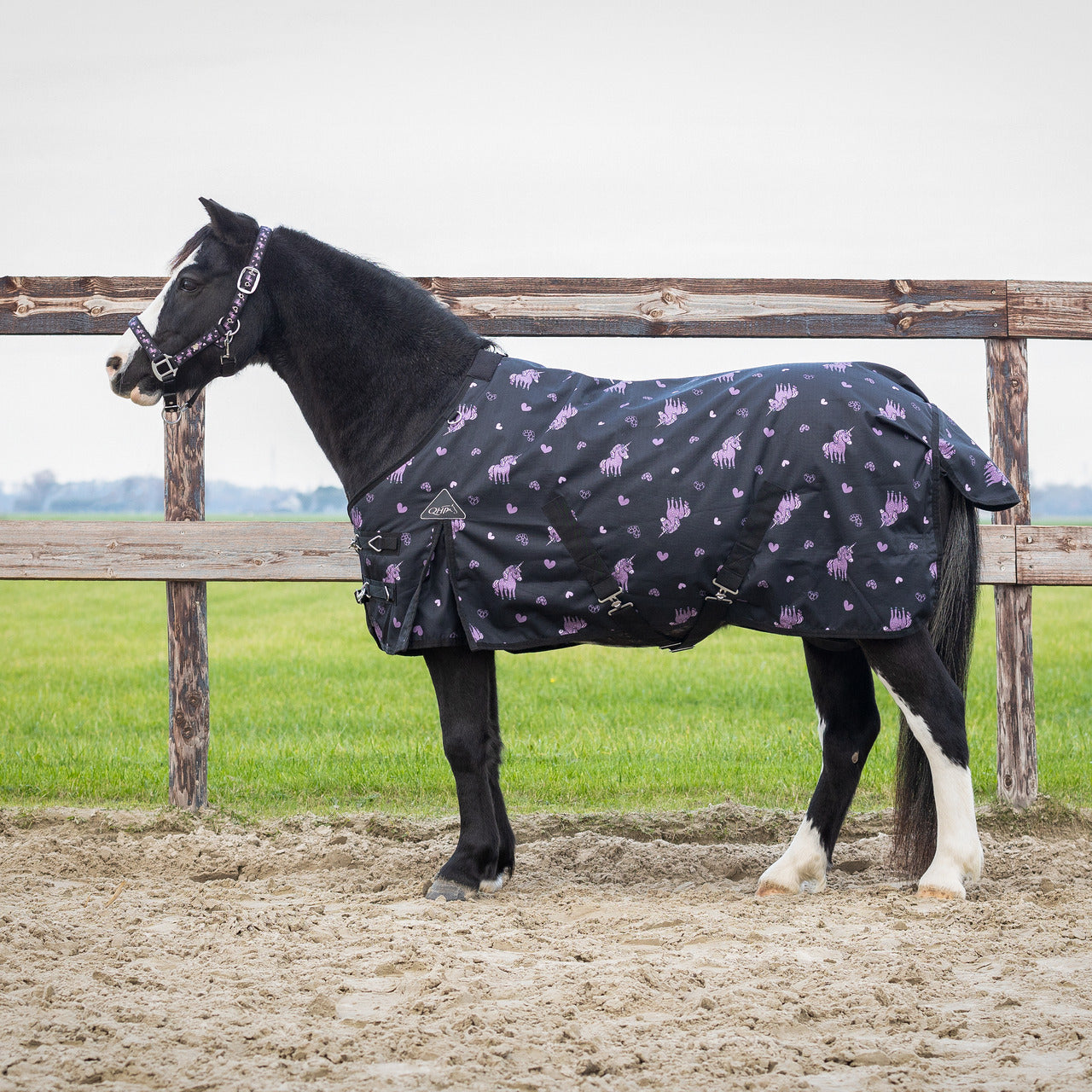 Couverture turnout Lize 100gr - QHP