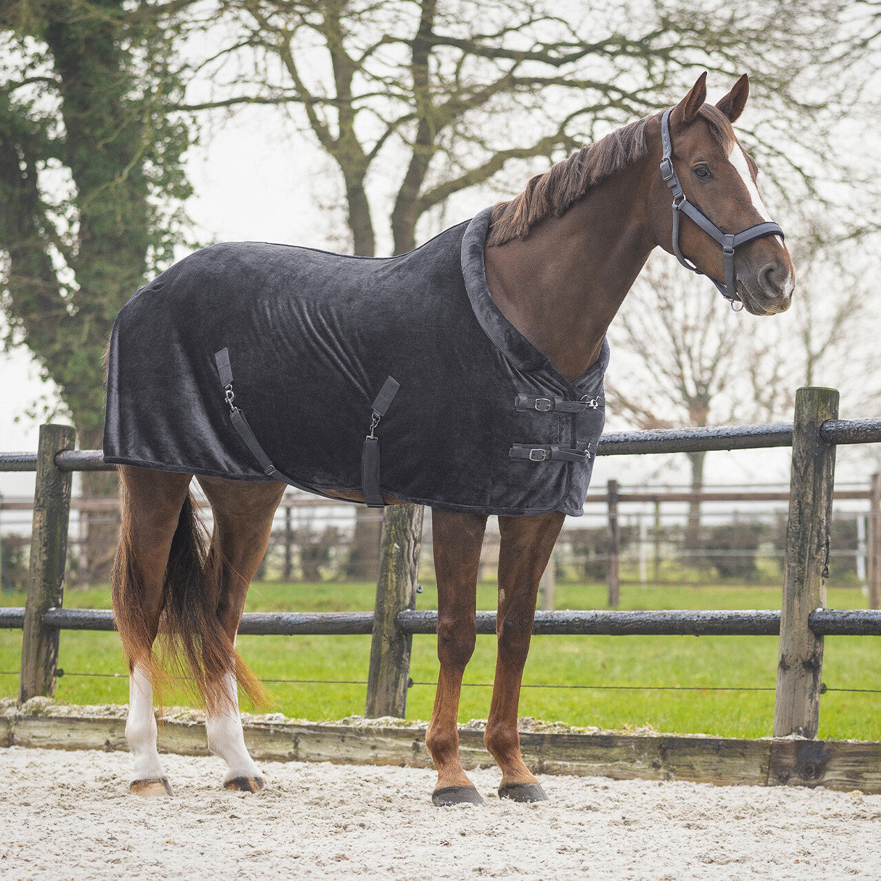 Couverture Sensisoft - QHP