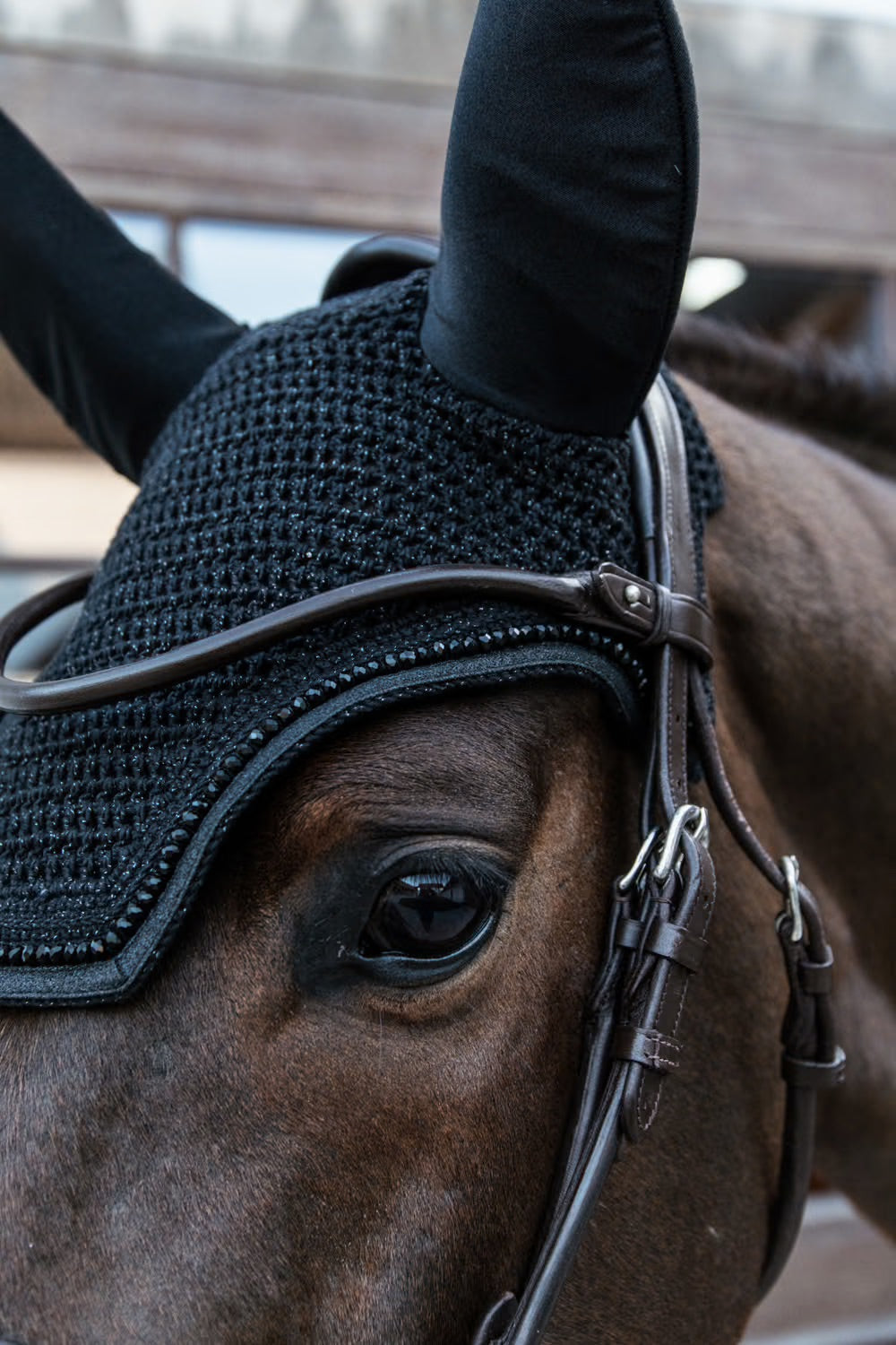 Bonnet Wellington Glitter Band (not soundless) - KENTUCKY