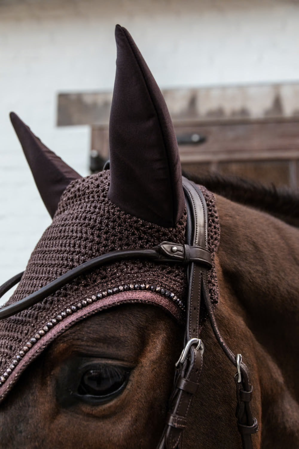 Bonnet Wellington Glitter Band (not soundless) - KENTUCKY