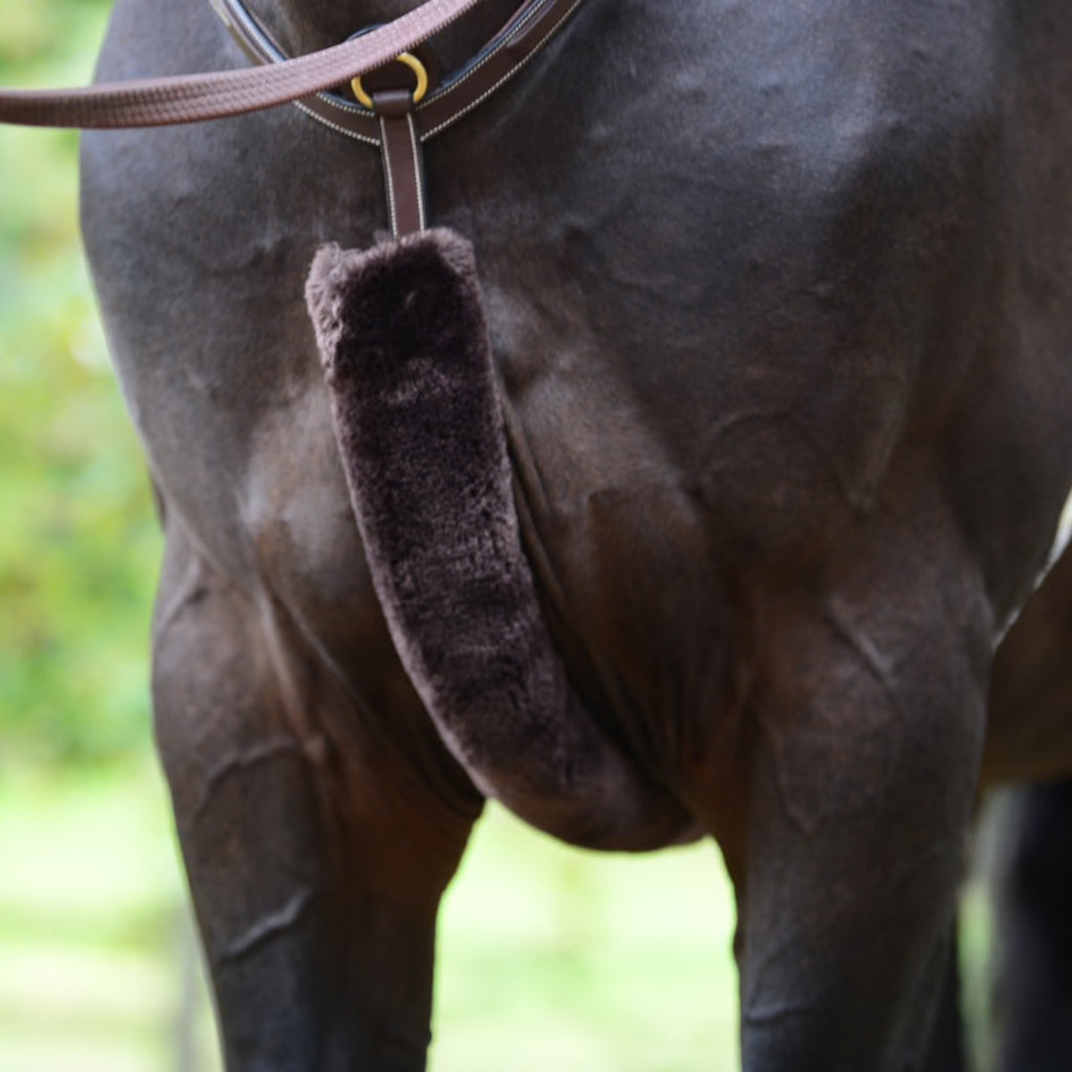 Fourreaux de collier chasse en Mouton - KENTUCKY