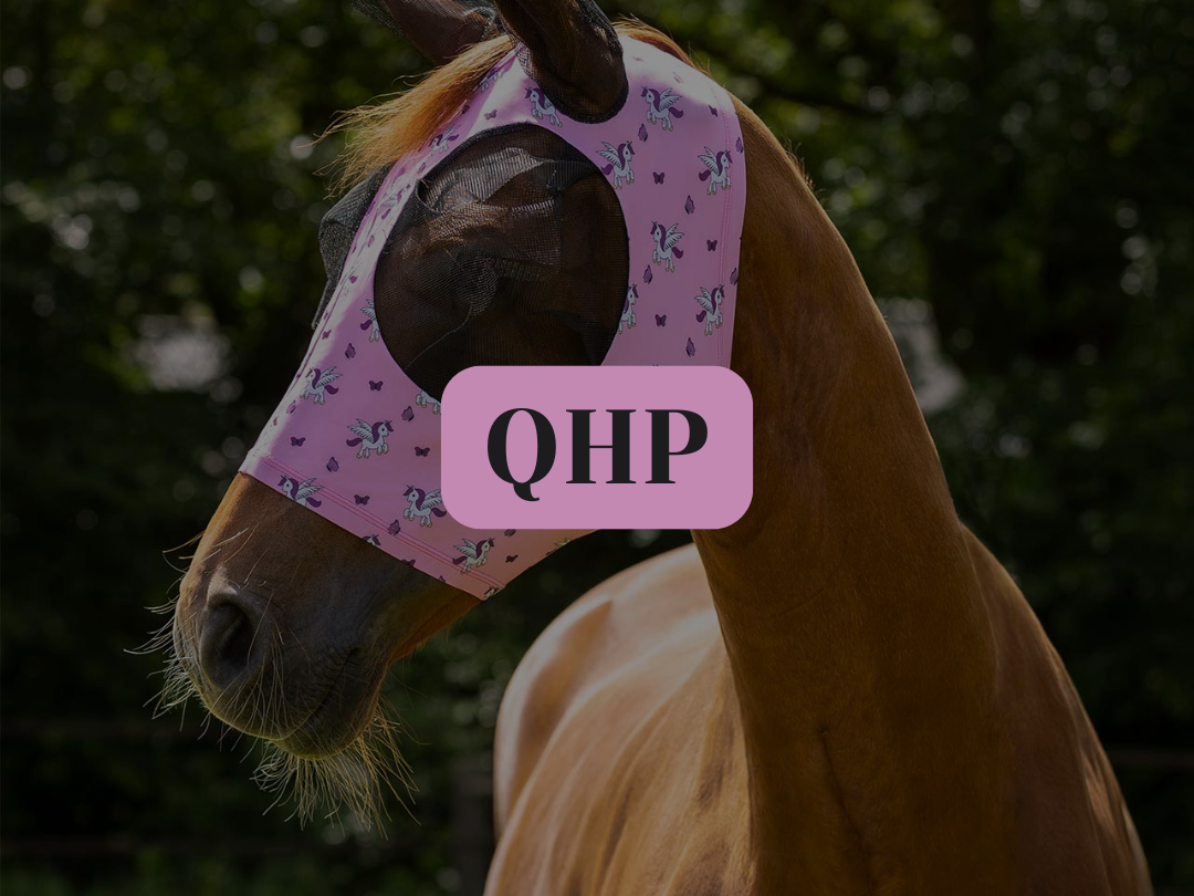 Nouveauté QHP