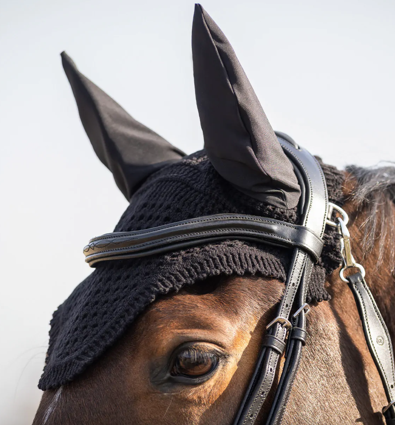 Bonnet Salerno - QHP