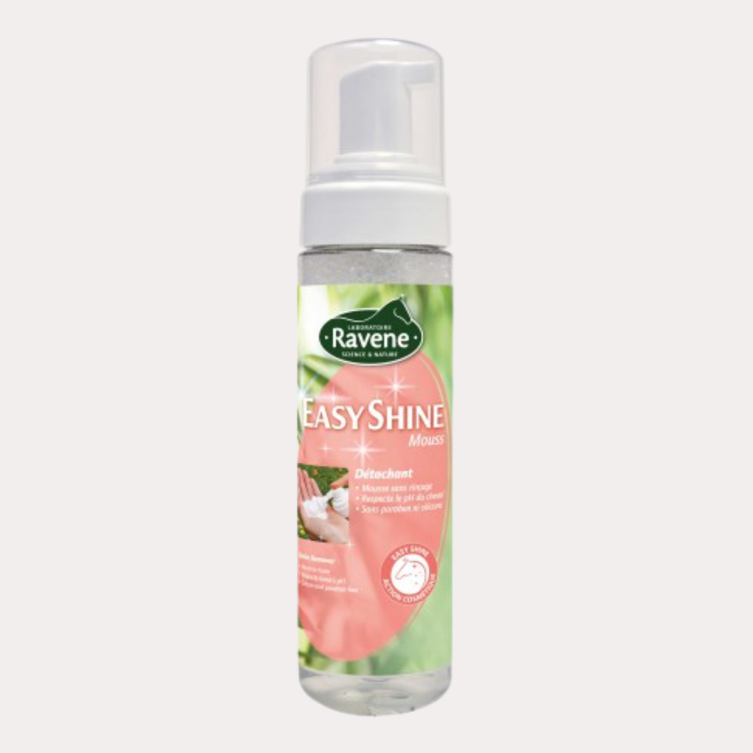 Détachant Easy Shine Mouss - RAVENE