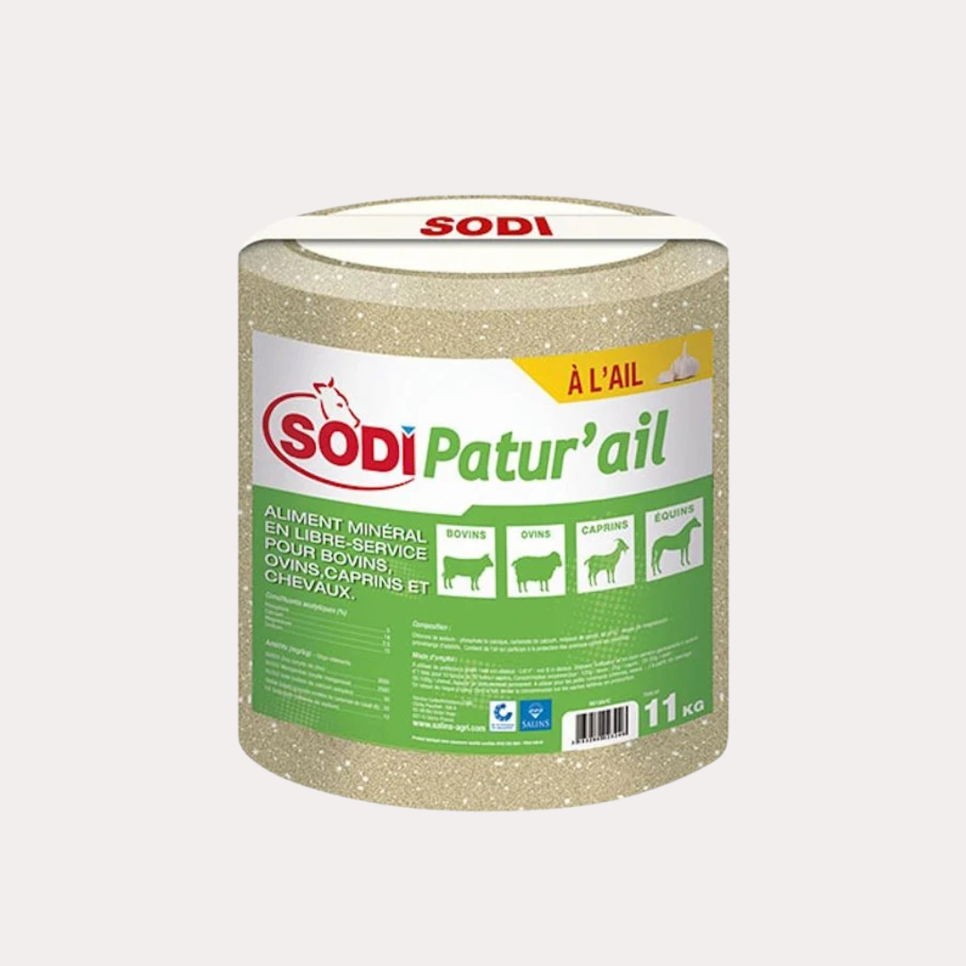 Bloc SODI PATUR’AIL