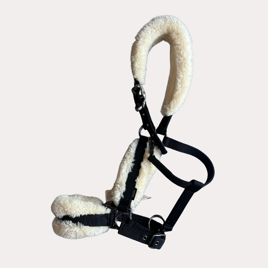 Licol fouganza mouton full
