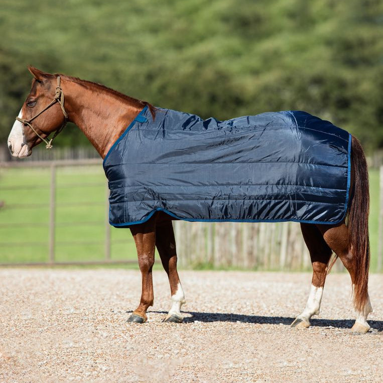 Sous-couverture (liner) 100g - Horseware